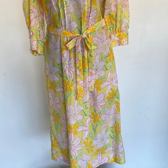 Vintage 1960’s Lilly Pulitzer Dress, Sz 8 - Picture 9 of 15